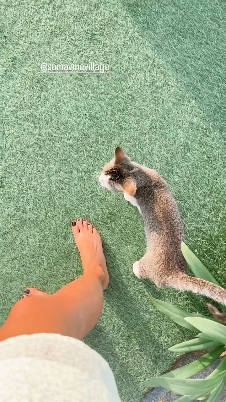 Megha Gupta Feet